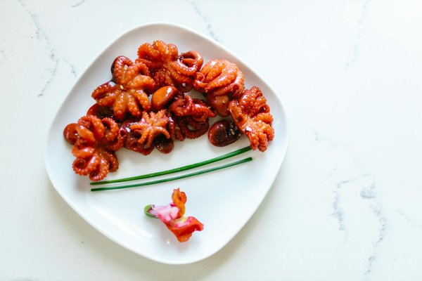 How can I train my pet for UK public transport?