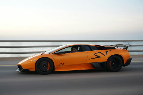 What Makes Pets the Perfect Companions for UK Families?